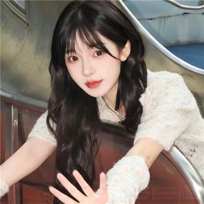 家庭罗曼史有限公司